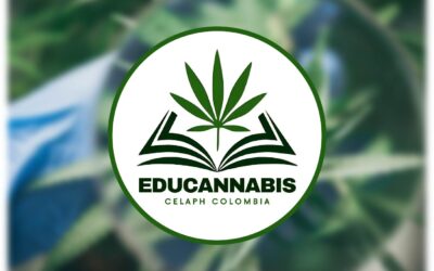 Curso “Educannabis” Educación sobre cannabis